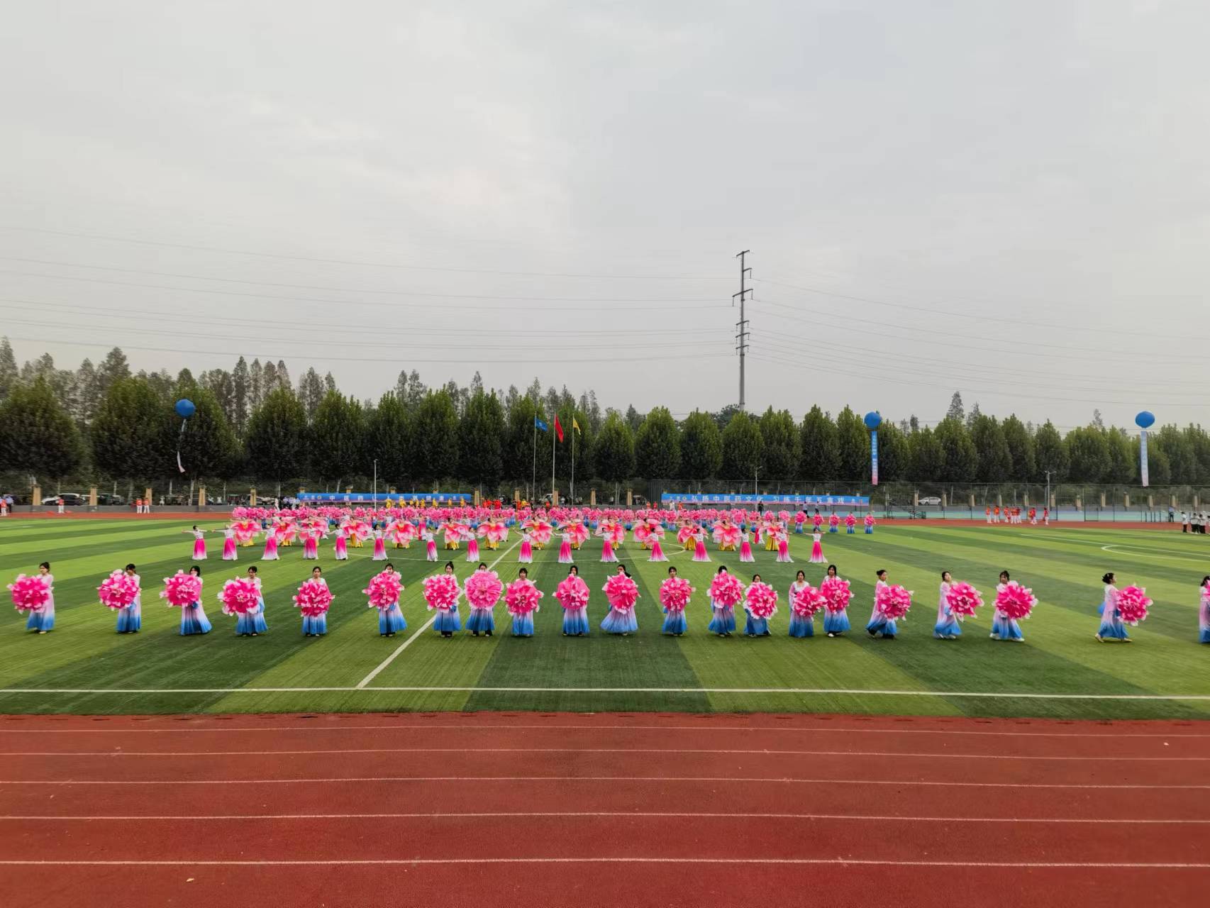 安徽中药科技学校师生助阵中国（亳州）国际健身气功博览会等三项活动开幕式1.jpg